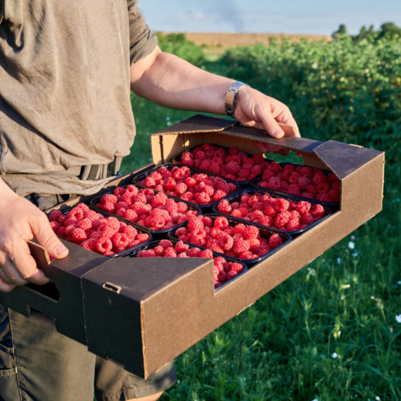 Sezonci, ovo su najplaćeniji poslovi