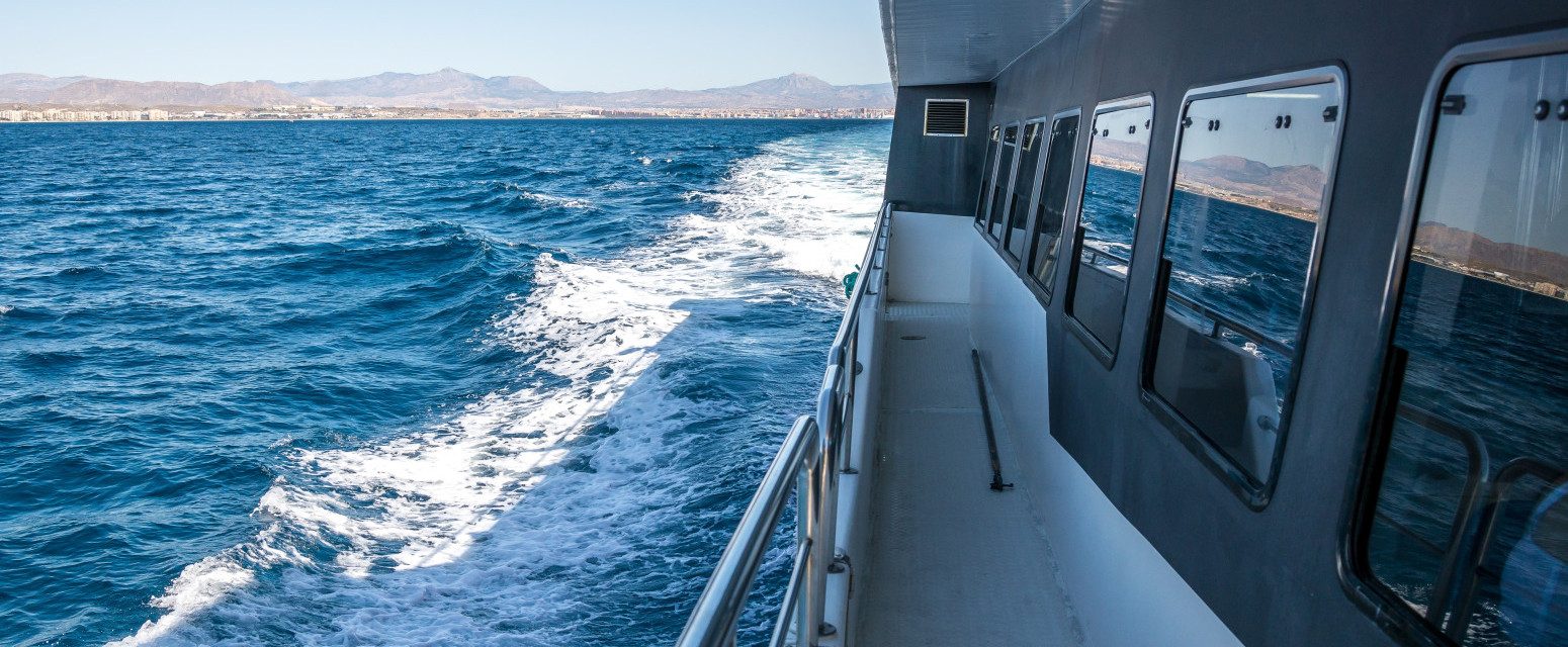 Horor na kruzeru: Evakuisano trideset putnika