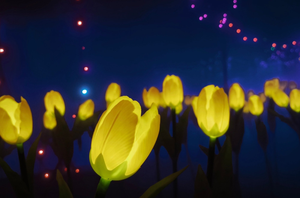 Naučnici stvorili biljke koje svetle u mraku: Baš kao u filmu Avatar FOTO