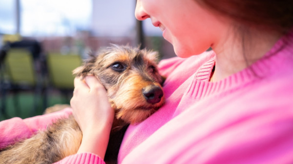Ova evropska zemlja napravila presedan: Dozvolila bolovanje zbog bolesnog kućnog ljubimca ANKETA