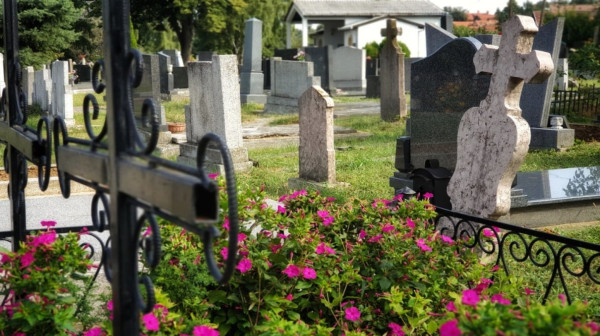 Klizište na groblju u Sremskoj Kamenici biće sanirano: 60 miliona dinara za izradu projekta i izgradnju