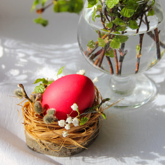 Šta se radi sa čuvarkućom od prošle godine? Samo dve stvari su ispravne