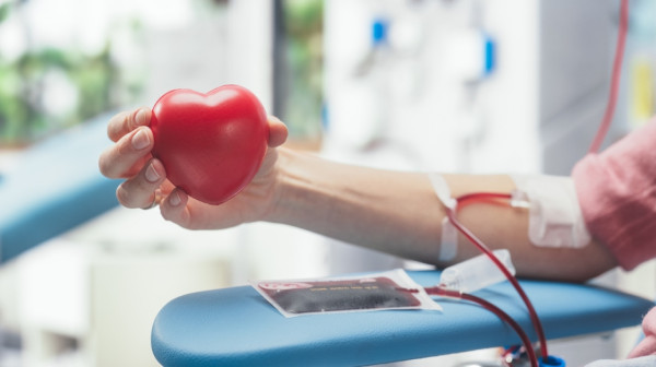 Vanredna akcija dobrovoljnog davanja krvi u Šidu 17. aprila