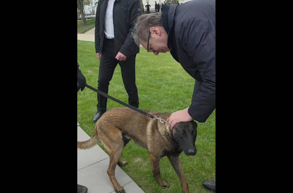 Dirljiv susret Vučića sa psom iz Kobri: Njemu eksploziv ne može da promakne; Biće među najboljima