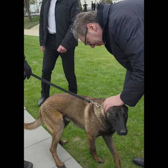 Dirljiv susret Vučića sa psom: "Milutin je takođe 'kobra'"; "Njemu eksploziv ne može da promakne" VIDEO