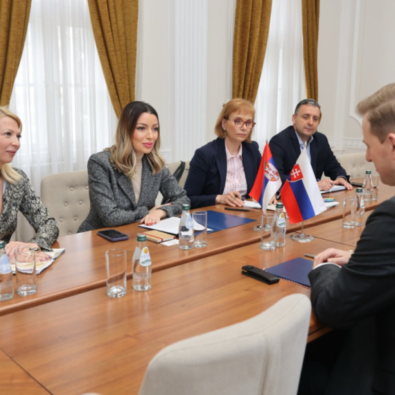 Razgovori sa predstavnicima EU: Mesarović traži rešenje za srpske profesionalne vozače