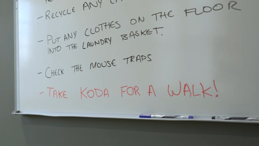 Već živimo Sci-Fi: Robotski pas šeta pravog psa FOTO