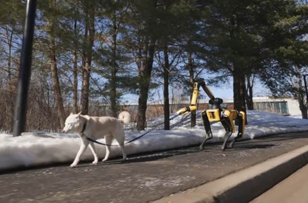 Već živimo Sci-Fi: Robotski pas šeta pravog psa FOTO
