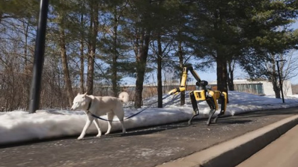 Već živimo Sci-Fi: Robotski pas šeta pravog psa FOTO