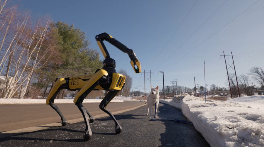 Već živimo Sci-Fi: Robotski pas šeta pravog psa FOTO