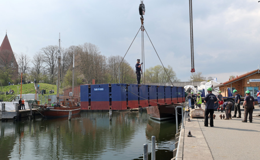 Poslednji pokušaj spasavanja kita: Multimilioneri se uključili u akciju koju prati ceo svet FOTO