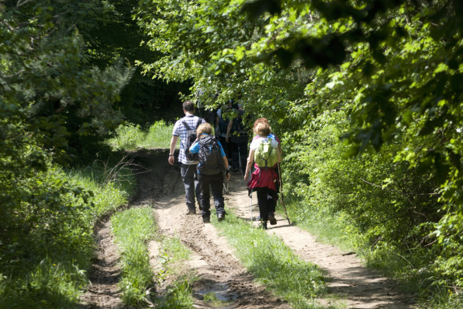 Ovo je sedam najboljih izletišta u Srbiji za Prvi maj: Prelepa priroda bez mnogo gužve VIDEO