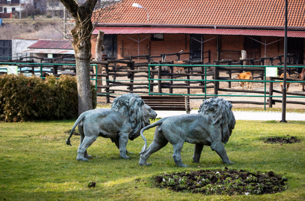 Jagodinski zoološki vrt "Tigar" bogatiji za dva nova stanara