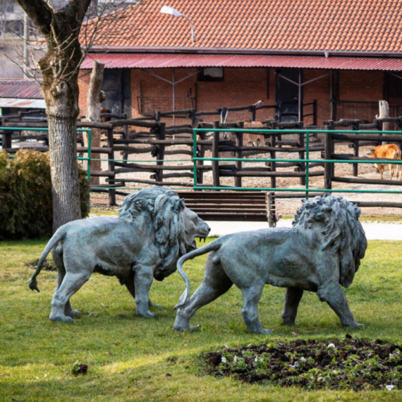 Jagodinski zoološki vrt "Tigar" bogatiji za dva nova stanara