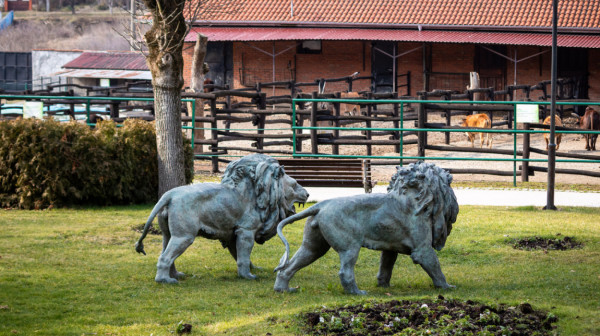 Nekima vrućine gode: Za životinje u ZOO vrtu Jagodina poseban tretman