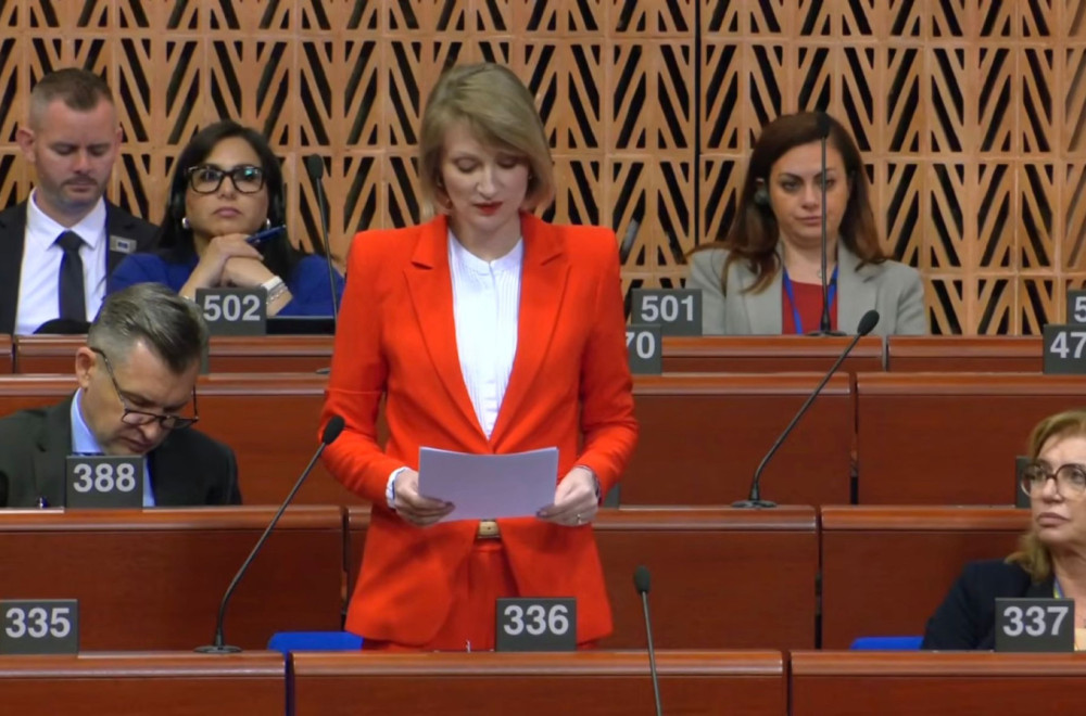 Pantić Pilja i Mirković u PS Saveta Evrope; Pokušali su da nas žive zapale, da nasilno sruše legitimnu vlast