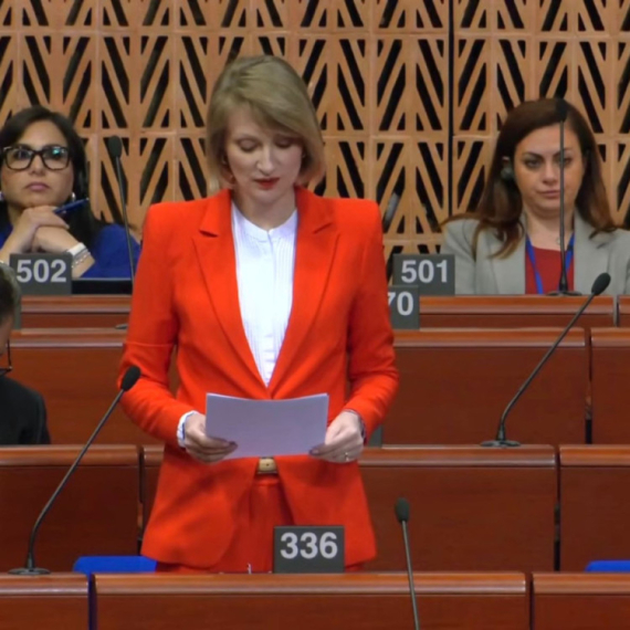 Pantić Pilja i Mirković u PS Saveta Evrope; "Pokušali su da nas žive zapale, da nasilno sruše legitimnu vlast"