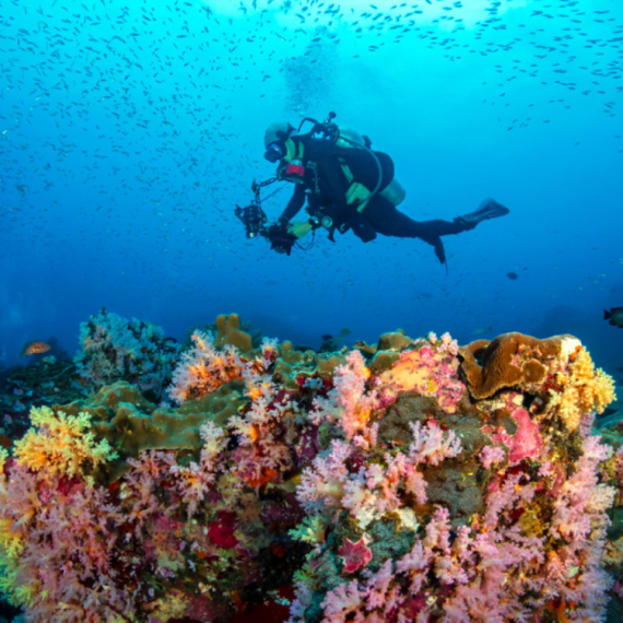 Podvodni svet iz snova: Ovo su najbolje evropske destinacije za lov na blago VIDEO