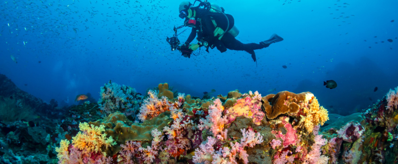 Podvodni svet iz snova: Ovo su najbolje evropske destinacije za lov na blago VIDEO