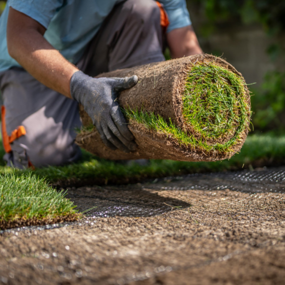 Biznis koji donosi veliku zaradu, a malo ko ga radi u Srbiji
