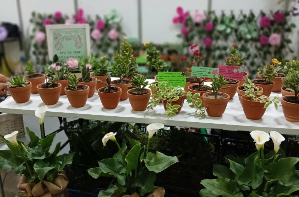 Niški zatvor nagrađen na Sajmu hortikulture