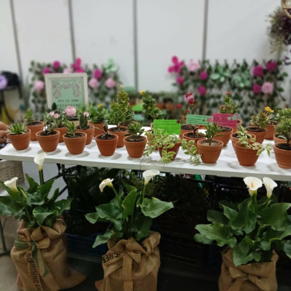 Niški zatvor nagrađen na Sajmu hortikulture