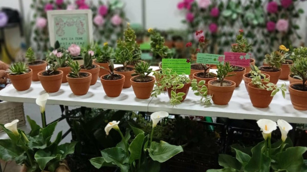 Niški zatvor nagrađen na Sajmu hortikulture