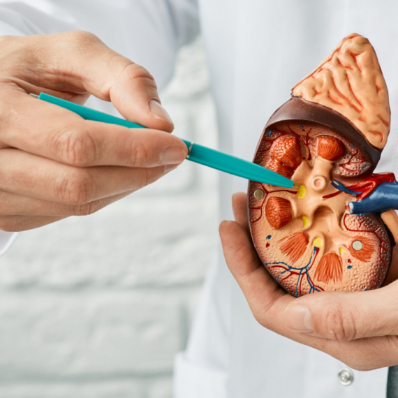 Čak i zdrave namirnice mogu biti uzrok kamena u bubregu