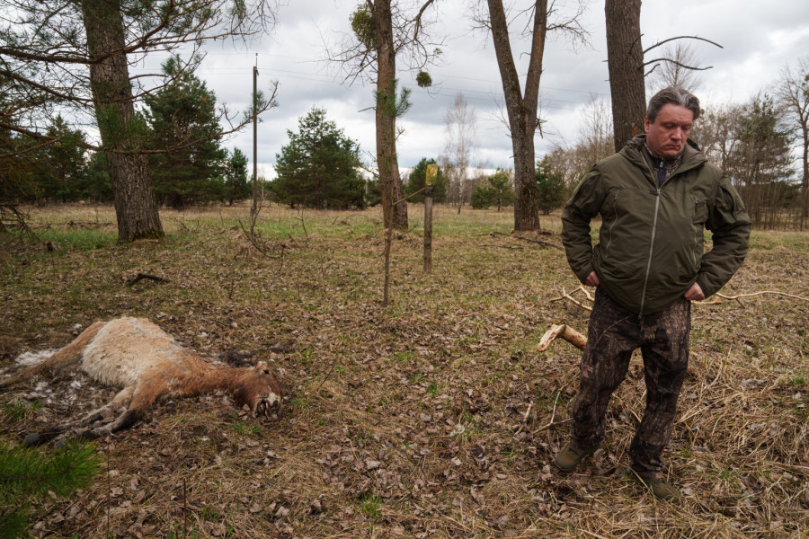 Tragedija Černobilja posle četiri decenije: Dok je sve umiralo, jedna svetinja odolela radijaciji FOTO