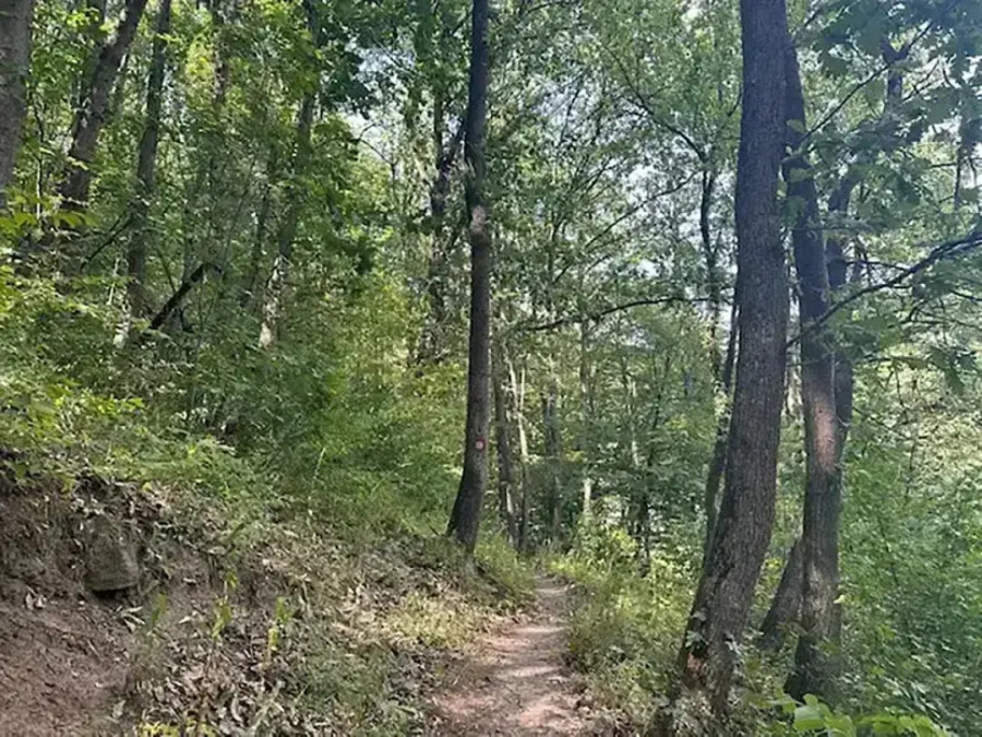 Ovo je jedna od najlepših pešačkih ruta u Srbiji: Smeštena je u blizini poznate banje FOTO