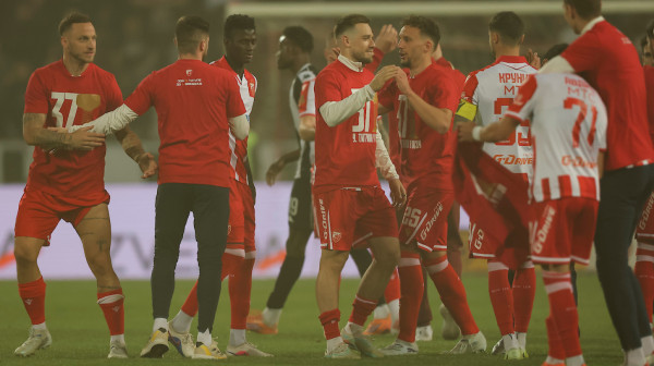 Slatke muke – ocenite igrače Zvezde ANKETA