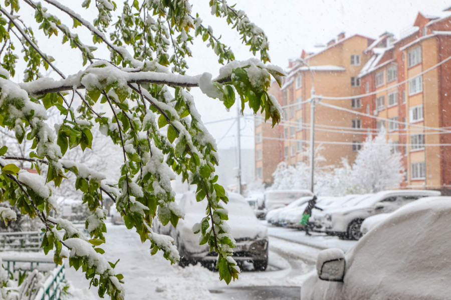 Užas u Rusiji: Nastradala devojčica u oluji; Više od 30 osoba povređeno FOTO