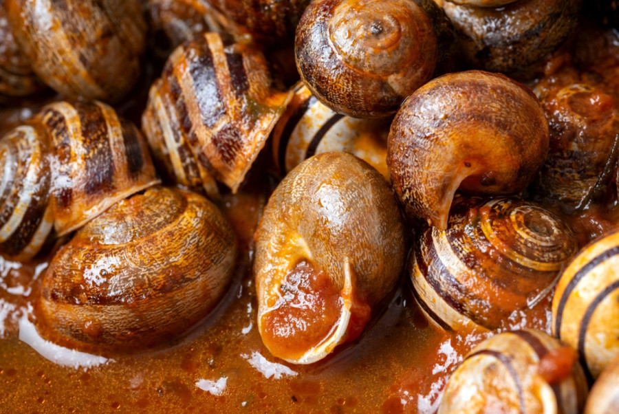 Počinje sezona puzajuće zarade: Čačani izlaze na livade, posle kiše zarade i nekoliko hiljada dinara