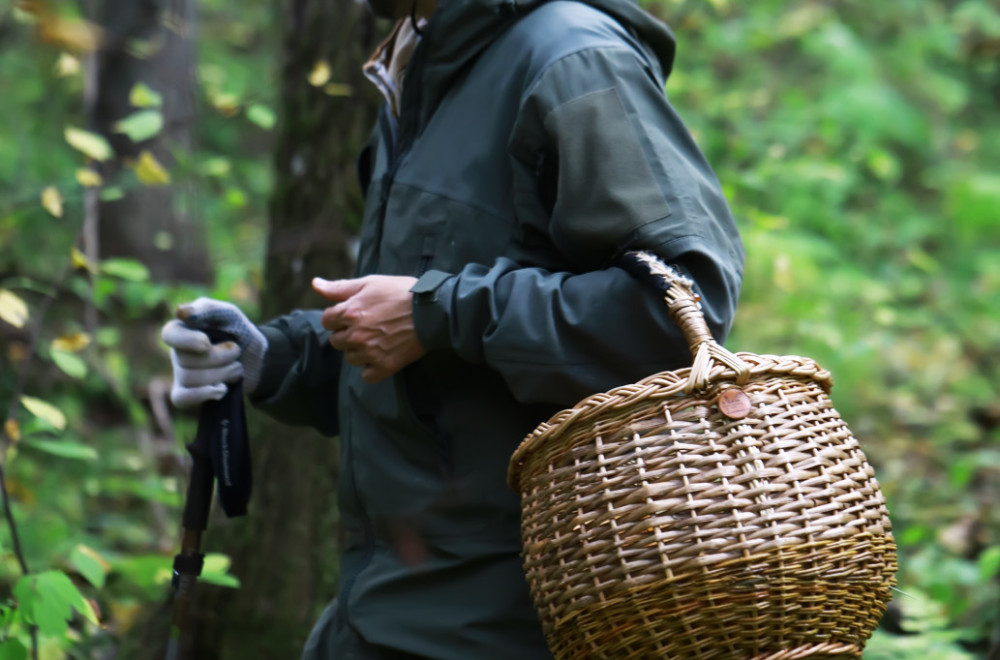 Počinje sezona puzajuće zarade: Čačani izlaze na livade, posle kiše zarade i nekoliko hiljada dinara