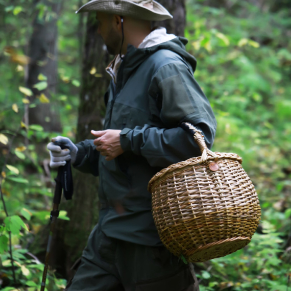 Počinje sezona "puzajuće zarade": Čačani izlaze na livade, posle kiše zarade i nekoliko hiljada dinara