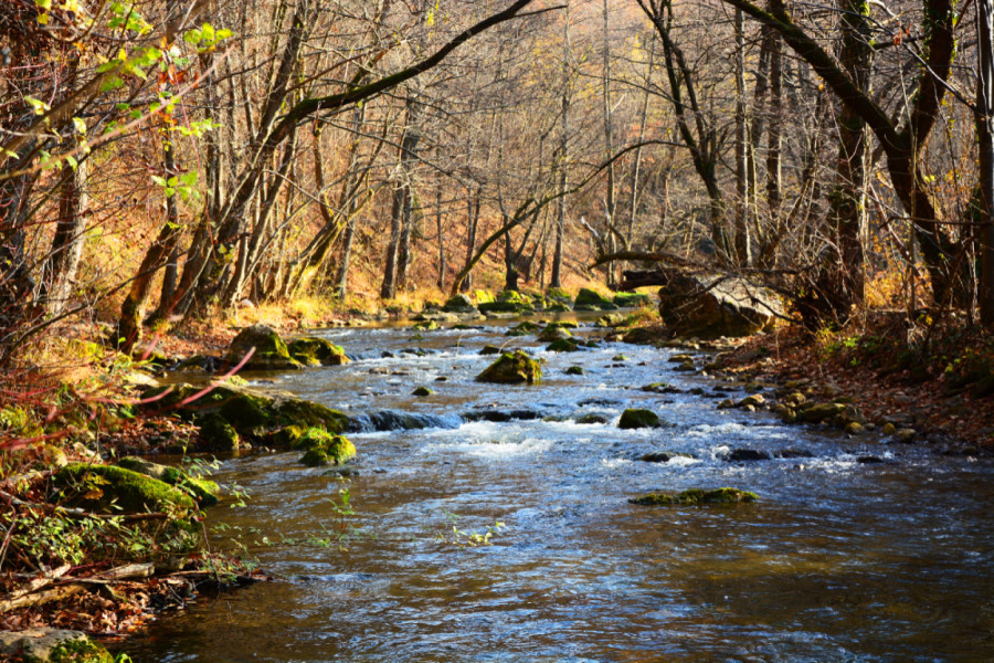 Na samo 90 km od Beograda krije se nestvarna reka: Voda ledena i kristalno čista, prizori kao iz filma FOTO