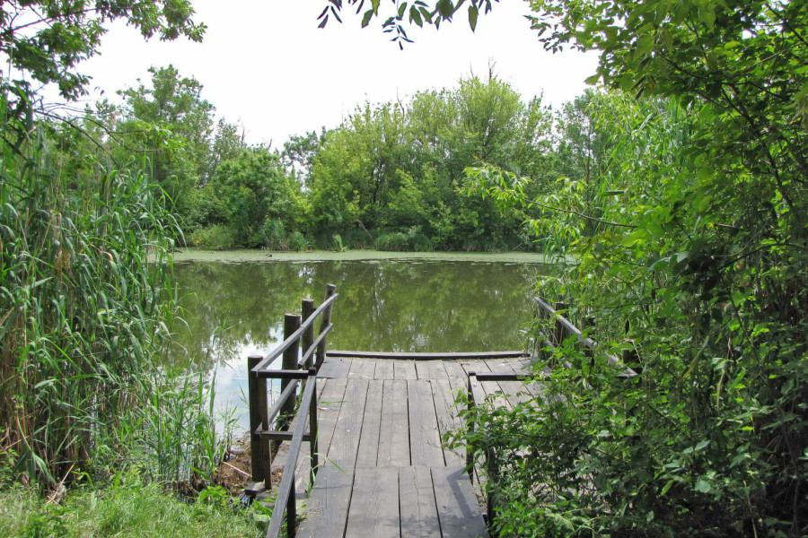 Aktivan Prvi maj u Zrenjaninu: Praznik je prilika za beg na Carsku baru ili sport u gradu