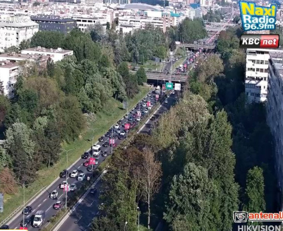 Krkljanac u Beogradu – nema gde igla da padne FOTO