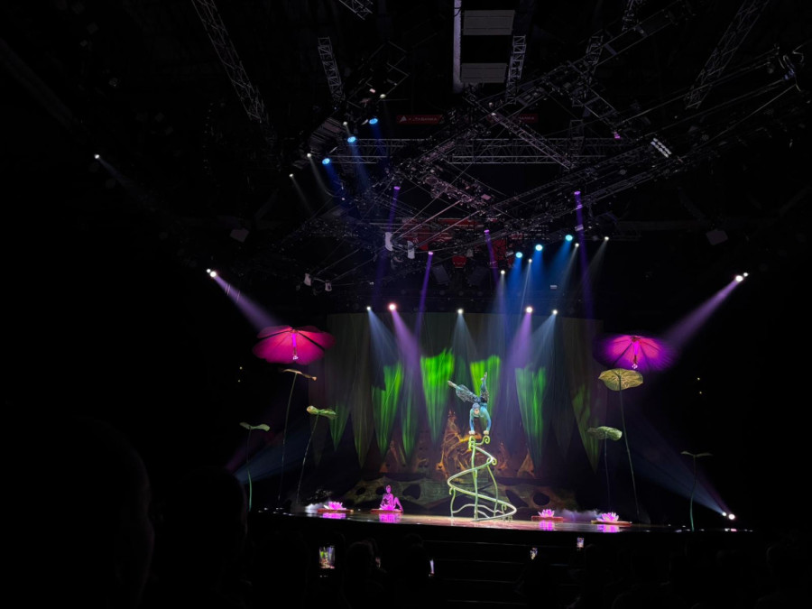 Publika ostala bez daha u prepunoj Beogradskoj areni: Cirque du Soleil predstavom OVO oduševio sve FOTO