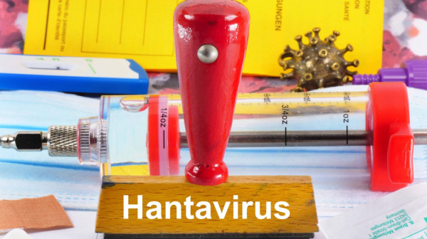 SZO potvrdila novi slučaj hantavirusa: Broj zaraženih raste