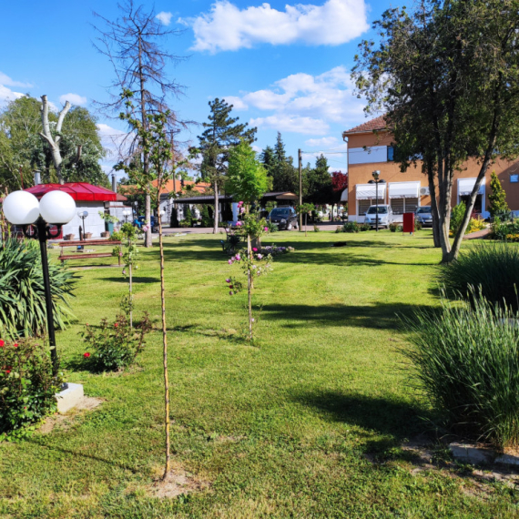U selu nadomak Zrenjanina niče prvi medonosni vrt, svi građani pozvani da pomognu