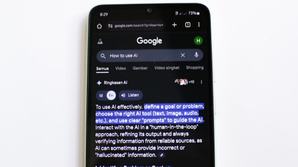 Google u ozbiljnom problemu: Tražite obične reči, a pretraživač potpuno "poblesavio"