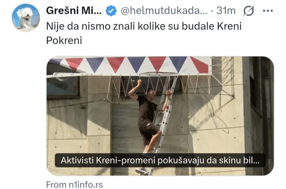 Novi cirkus blokadera: Sada su uspeli da se izblamiraju i oko ptica FOTO