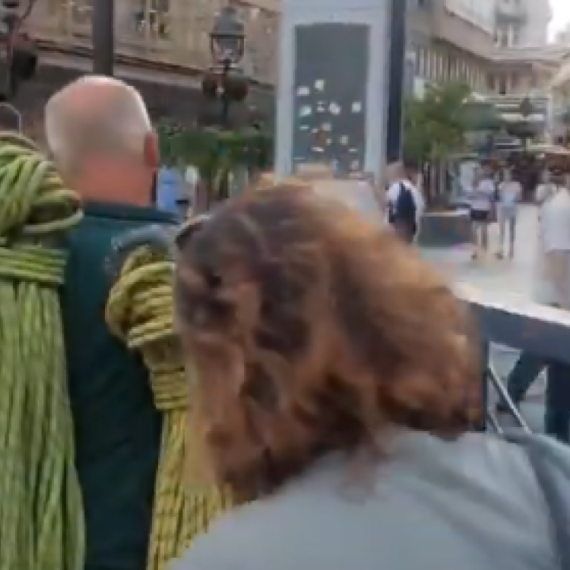 Prave sahranu za žive ptiće? Blokaderi maltretirali alpiniste koji su došli da skinu transparent