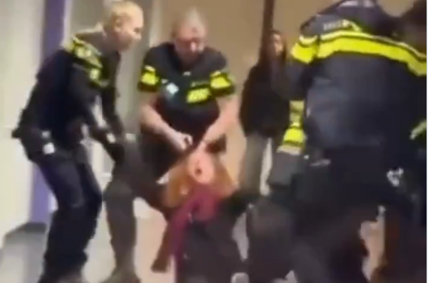 Mesecima napadaju Srbiju, a sada isplivao snimak iz EU; Holandska policija je pretukla trudnicu VIDEO