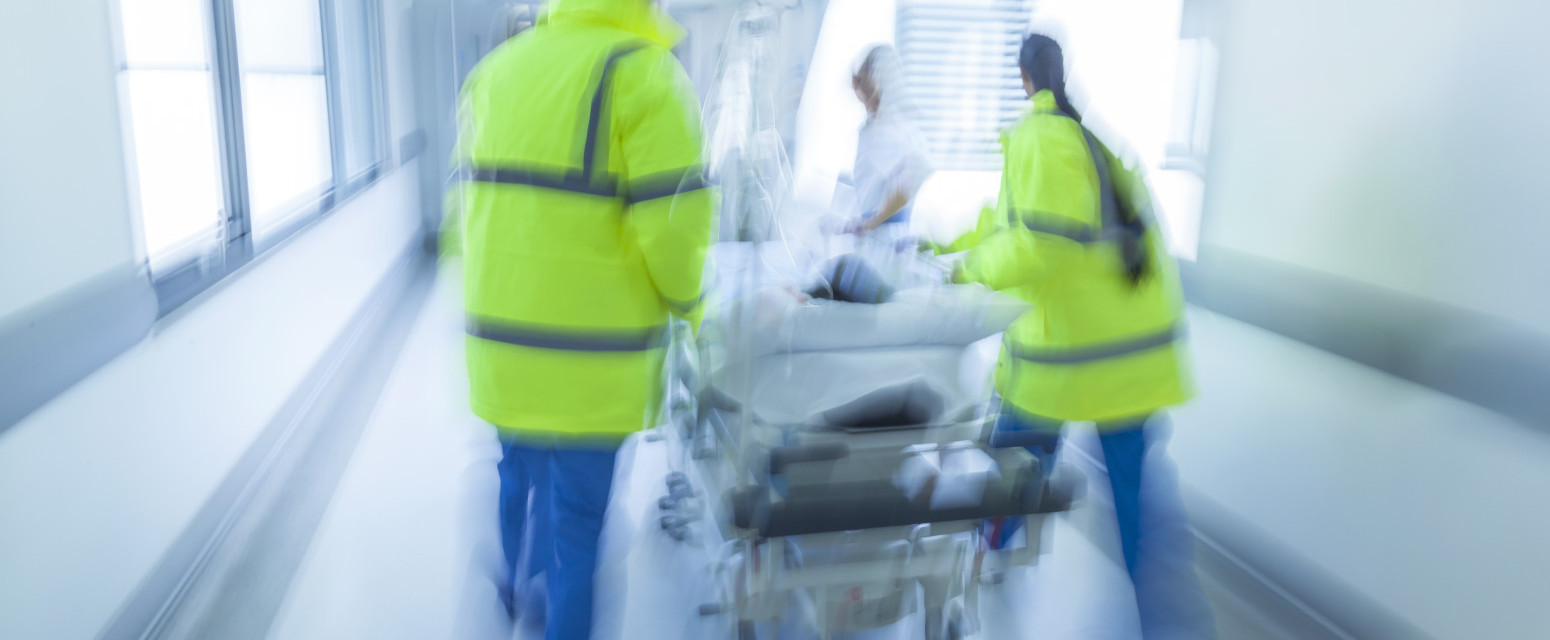 Devojka u Grčkoj preminula od uboda ose: Lekari satima vodili borbu za njen život