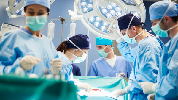 Revolucija u medicini: Čoveku prvi put presađeni jetra i bubrezi svinje