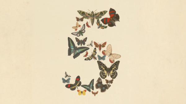 Predstavljen Claude 5 Fable, ali uz velike restrikcije