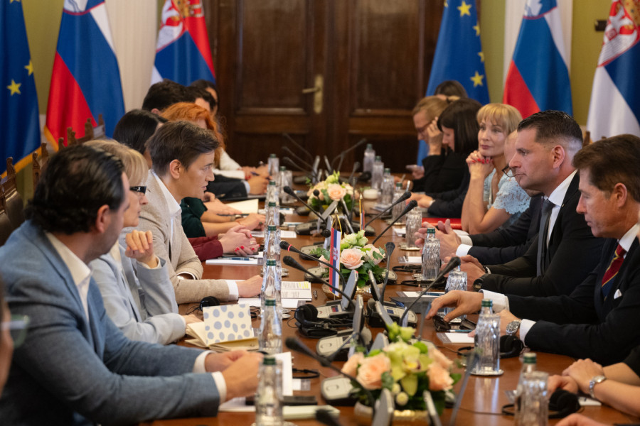 Brnabić se sastala sa Stevanovićem: Slovenija je za Srbiju izuzetno značajan partner na svim nivoima