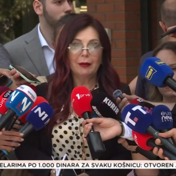 Dobričanin posle presude Kecmanovićima: Sudija smatra da treba spustiti granicu krivične odgovornosti VIDEO